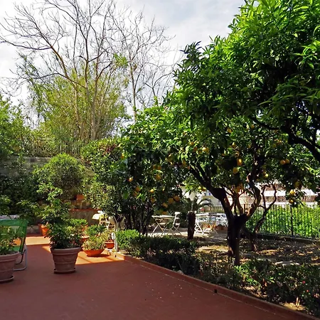 Lumachella 체팔루