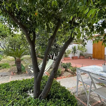 Bed and Breakfast Lumachella