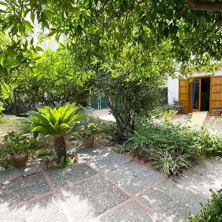 Lumachella 4* チェファル