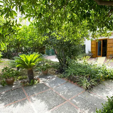 Lumachella 3*